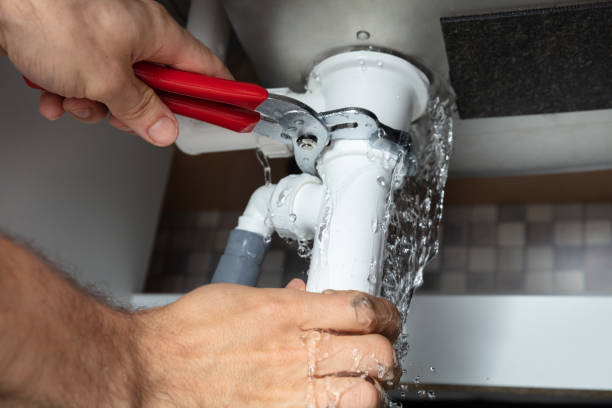 Best Water damage restoration specialists  in Elwood, IL