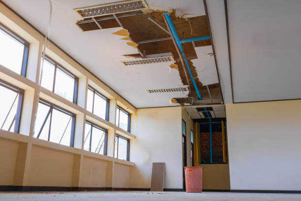 Best Water damage contractors near me  in Elwood, IL