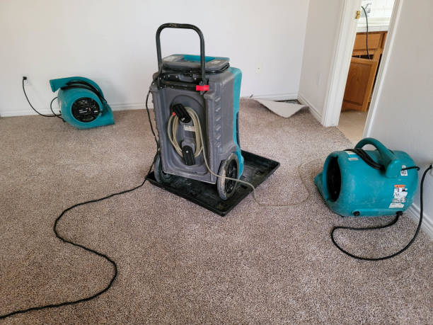 Best Water damage contractors near me  in Elwood, IL