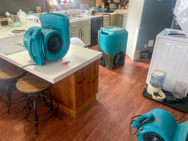 Best Water damage cleanup near me  in Elwood, IL