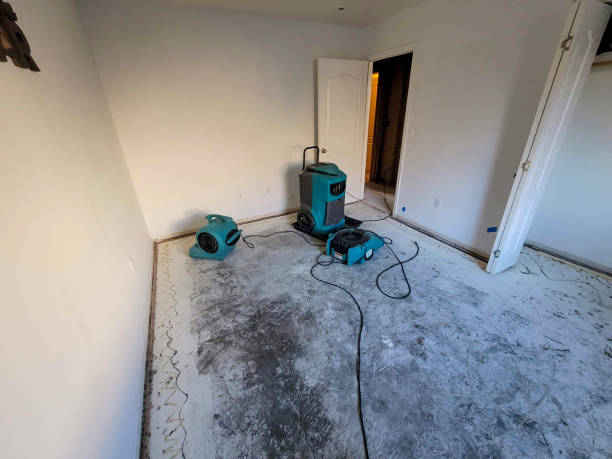 Best Commercial water damage restoration  in Elwood, IL