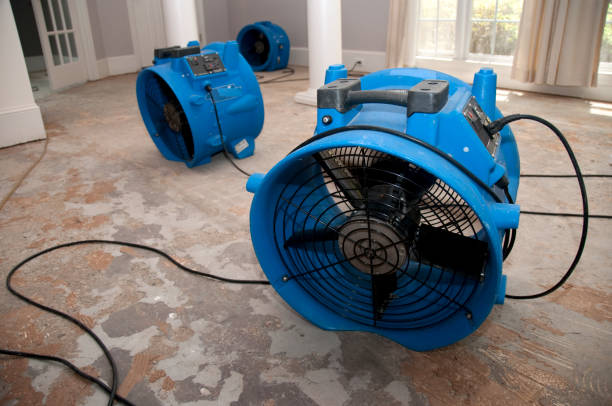 Best Ceiling water damage repair  in Elwood, IL