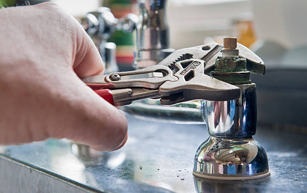 Best Flood restoration services  in Elwood, IL