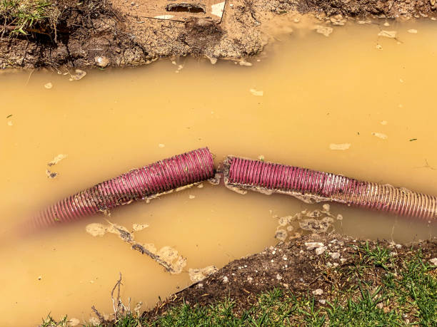 Best Water damage restoration near me  in Elwood, IL