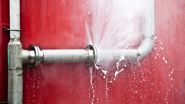 Elwood, IL Water damage restoration Pros