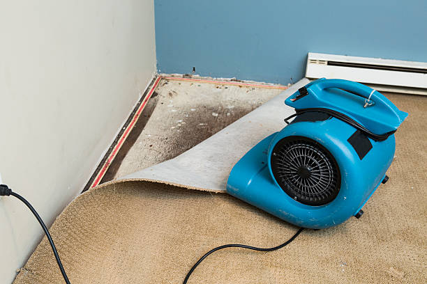 Best Water damage restoration near me  in Elwood, IL