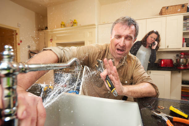 Carpet water damage restoration in Elwood, IL